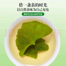 太守堂 银杏叶250克 生银杏叶中药材干银杏叶树叶片白果树叶药材原料 实拍图