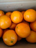 江西赣南早脐橙整箱当季新鲜早橙子榨汁水果礼盒皮薄多汁节日团购 【尝鲜】净重2.7斤装单个120g+ 实拍图