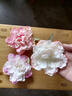 甜美气质花朵发夹边夹胸针可爱仿真小花发卡搞怪夹子别针少女头饰 浅紫 晒单实拍图