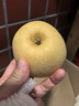 京橙美锦山东烟台黄元帅苹果新鲜当季水果黄金帅黄香蕉苹果粉面宝宝可刮泥 带箱9.5-10斤大果【80-90mm】精选 实拍图