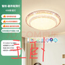 雷士（NVC）LED吸顶灯现代简约卧室书房轻奢灯具APP智控包安装时尚圆形灯饰 实拍图