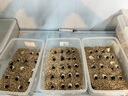 南华千牧 电解多维乌龟专用爬宠电解质爬虫维生素营养品水陆乌龟药通用 龟用电解多维500g/瓶 实拍图