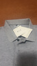 丝光棉100纯棉短袖T恤男士翻领纯色230g夏季新款百搭Polo衫上衣 浅灰色 M 170/88A 实拍图