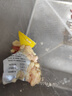上鲜 鸡腿肉块 1.6斤 冷冻 出口级 鸡丁鸡腿肉丁鸡肉块清真食品 实拍图