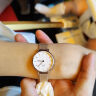 丹尼尔惠灵顿（DanielWellington）DW手表女简约时尚石英女士手表欧美表520礼物送女友DW00100219 实拍图