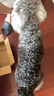 比瑞吉狗粮小型犬中大型犬爱不将就系列狗粮冻干三拼鸭肉梨通用犬粮10kg 实拍图