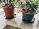 墨斗鱼花盆托盘36cm*3塑料耐磨加仑盆垫树脂底座加厚圆形接水盘底托 实拍图