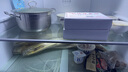 乐唯诗（NERVISHI） 高硼玻璃保鲜饭盒可微波炉加热专用餐盒格保鲜保温分隔型冰箱 乐鲜一体盖【方】大中小/三件套 实拍图