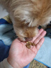 麦富迪（Myfoodie）狗粮 超肉粒冻干双拼粮300g 成犬中大型犬（牛肉紫薯绿唇贻贝） 实拍图