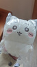 名创优品（MINISO）chiikawa小号站姿公仔正版玩偶毛绒玩具生日礼物女 Chiikawa吉伊 实拍图