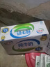 伊利 纯牛奶整箱250ml*21盒 全脂牛奶 优质乳蛋白 礼盒装 4月底产 实拍图