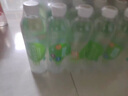 依能 青柠檬味苏打水饮料 无糖无汽弱碱 500ml*24瓶 塑膜装饮品 实拍图