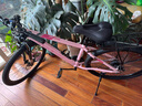 凤凰山地自行车内走线品牌变速青少年男女竞赛车自行车成人 坦途510 铝架辐条轮-彩云粉 26寸【适合155-185cm】 24速 实拍图