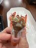 哆鲜生 超大红魔虾 远洋捕捞胭脂魔鬼红虾鲜活冷冻生腌刺身级生鲜虾类 帕拉莫斯红魔虾5-6条 400g(净重) 实拍图