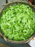 带根香菜100g 实拍图