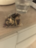 同仁堂菊花枸杞决明子茶養盰護肝茶金银花甘草牛蒡根熬夜上火养生茶150g 实拍图