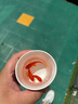 伊利金领冠育护【全面营养】儿童配方奶粉4段(3-6岁)900g 实拍图