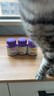 卫仕 猫咪肠胃调理套装 猫用复合维生素片 毛球  猫多维约200片+化毛球约200片+猫力肠约200片 One's Member  实拍图