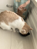 网易严选 宠爱相伴全价猫粮 居家宠物主粮幼猫成猫全价粮猫咪食品 1.8kg 实拍图