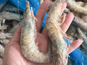 禧美海产 厄瓜多尔白虾 无冰净重3.6斤/盒(加大号)75-90只 盐冻 海鲜水产 实拍图