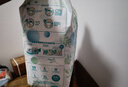 帮宝适【夏天超薄透气】清新帮透氧Pro纸尿裤2XL32片 尿不湿 实拍图