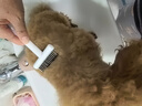 HELLOJOY宠物开结梳猫梳子狗猫毛梳狗毛清理器猫咪狗狗梳子长毛去浮毛神器 实拍图