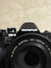 奥林巴斯（OLYMPUS）E-M10 MarkIV EM10四代 微单相机 数码相机 单机身 4.5档强化机身防抖 实拍图