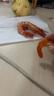 三只松鼠纯坚果礼盒2365g/20件 零食大礼包松子腰果开心果 团购送礼 实拍图