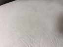 洁丽雅（Grace）纯棉A类纤维枕枕头枕芯双人成人高弹羽丝绒枕头芯 一对装 46*72cm 实拍图