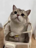 华元宠具（hoopet）猫包外出便携背包猫双肩包狗狗多猫拉杆宠物拉杆箱大容量行李箱 月光宝盒-拉杆包（带小熊包） 适合体重25斤内猫咪，10斤内狗狗 实拍图