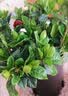 开时果 栀子花盆栽浓香型大花苗 四季懒人好养植物室内阳台庭院耐热花卉 加仑盆【90杯#栀子花】 实拍图