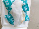 京鲜生 广东妃子笑荔枝 净重5斤装 单果18g起 生鲜水果 源头直发包邮 实拍图