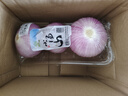小汤山 北京 紫洋葱 450g 基地直供新鲜蔬菜 实拍图