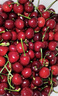 采缇智利进口车厘子樱桃车厘子1-5斤次日达樱桃新鲜水果当季时令整箱 3斤(净重) 礼盒装 4J 32mm(含)-34mm(不含） 实拍图