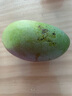 京鲜生 山东铁皮草莓西红柿 净重4.5斤 单果60-150g水果番茄源头直发 实拍图