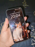 vivo S30 Pro mini 6.31 英寸多彩小直屏 行业首发希区柯克变焦实况  6500mAh小屏续航战神手机 国补 可可黑 16GB+512GB 赠TWS耳机 实拍图