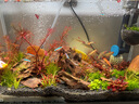 森森（SUNSUN）鱼缸增氧泵水族箱氧气泵家用小型充氧泵 【二代更静】4W双孔+全套配件 实拍图