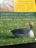 鸟类·昆虫大百科 彩图注音版科普读物 小眼睛看世界儿童科学启蒙认知百科全书   儿童年货节送礼 实拍图