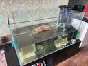 BESSN贝森金晶五线汽车级超白缸玻璃鱼缸客厅裸缸家用水草溪流缸 70*40*40cm8mm厚金晶五线超白送货上楼 实拍图