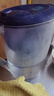 碧然德（BRITA） 家用滤水壶 净水壶滤芯 Maxtra 多效滤芯 3枚装 实拍图