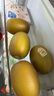 佳沛（zespri）新西兰 阳光金奇异果12粒礼盒特大果单果约122-146g 猕猴桃 水果 实拍图