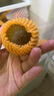 佳沛（zespri）新西兰 阳光金奇异果12粒礼盒特大果单果约122-146g 猕猴桃 水果 实拍图