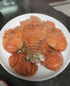鲜喜利舟山琵琶虾新鲜九齿扇虾海鲜虾姑特大濑尿虾生鲜水产鲜活冷冻爬虾 1000g(净重)  14-18cm 【4-5只/斤】 实拍图