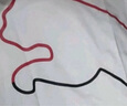 彪马（PUMA）官方 夏季男女同款运动休闲印花百搭短袖T恤 GRAPHICS TEE 680275 白-02 L (180/100A) 实拍图