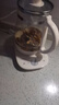 苏泊尔（SUPOR）2L大容量 养生壶煮茶器烧水壶花茶壶恒温水壶电水壶电热水壶 办公室保温煮茶壶 多段调温SW-20YQ68 实拍图