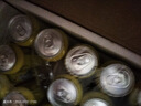 瓦伦丁拉格啤酒500ml*24听整箱罐装黄啤 德国原装进口淡色啤酒送礼露营 500mL 24罐 整箱装 实拍图