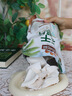 三只松鼠冻干泰椰片100g 椰子健康休闲解馋零食无添加小吃果干 实拍图