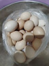 新鲜农家谷物鲜鸡蛋  现捡现发 破损包赔 新鲜营养 单枚50g-60g 30枚装 晒单实拍图