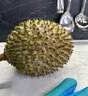 市舶士马来西亚猫山王榴莲D197整果树熟液氮冷冻榴莲进口水果礼盒 【保底5房】A级精品3.6-4.0斤 实拍图