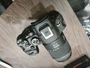 佳能（Canon）佳能r6二代 全画幅微单数码相机 R62 24-105变焦镜头 摄影摄像 高清直播 旅行拍照 旅游街拍套装 实拍图